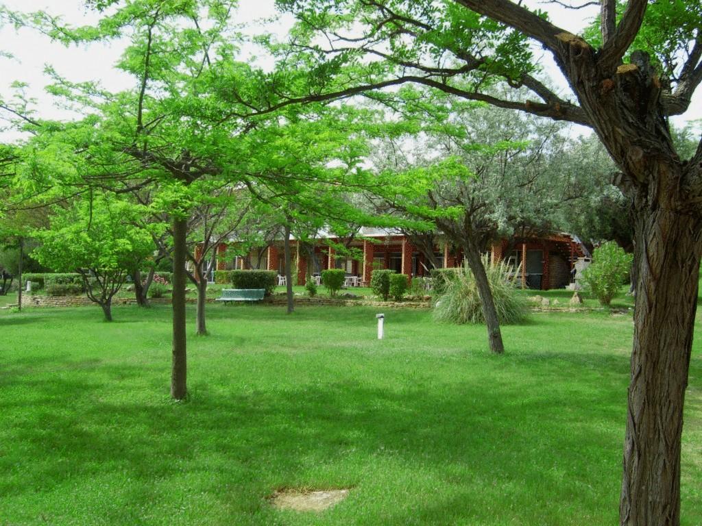 Appartamento Le Domaine Des Oliviers Saint-Cyr-sur-Mer Esterno foto